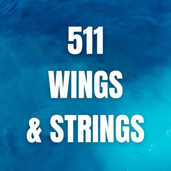 511 WINGS & STRINGS