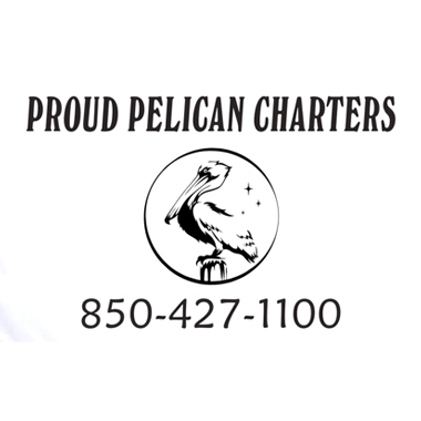 proud_pelican